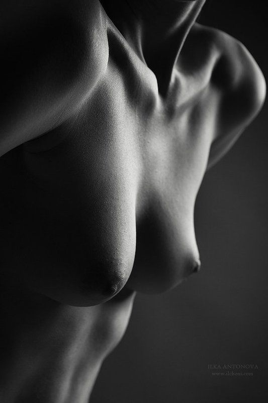 Erotic, Nude, Photography, Portrait Shapesphoto preview