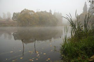 Ранним осенним туманным утром
