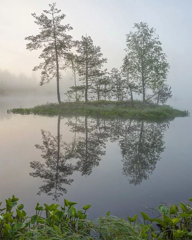 Плавающий остров