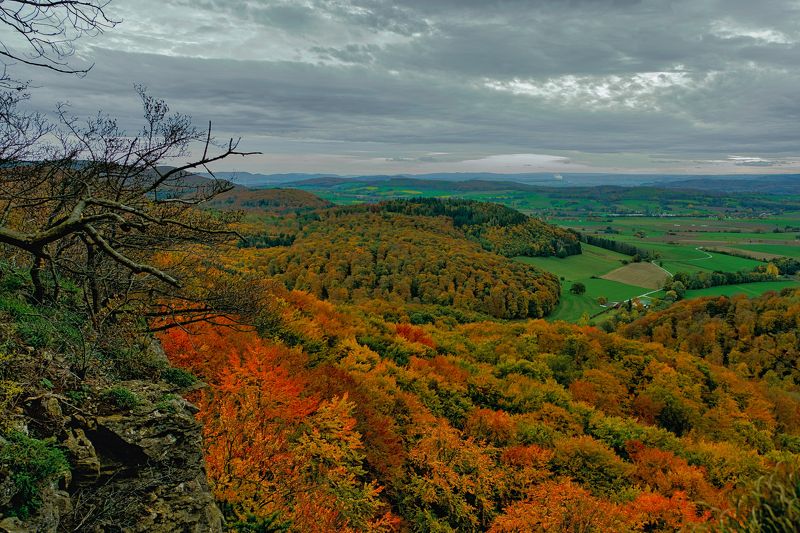 Осень краски разбросалаphoto preview