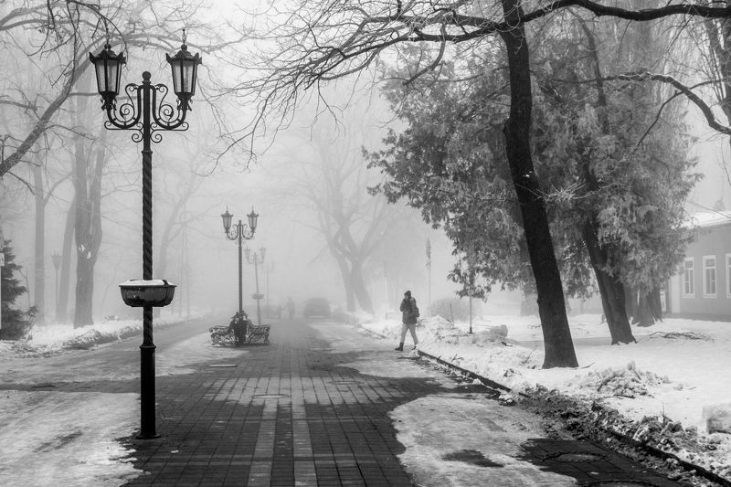 туман, город, улица, стрит,ч/б, черно-белое На аллееphoto preview