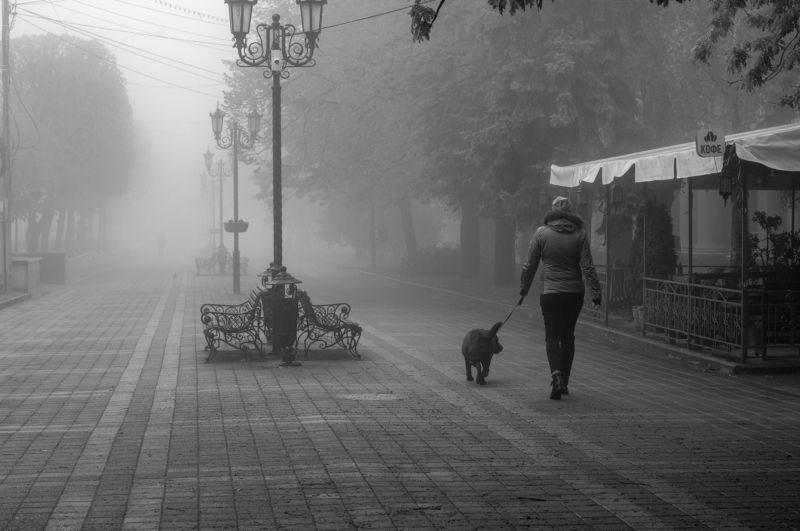 Туман, город, улица, стрит,ч/б, черно-белое Прогулка с собакойphoto preview