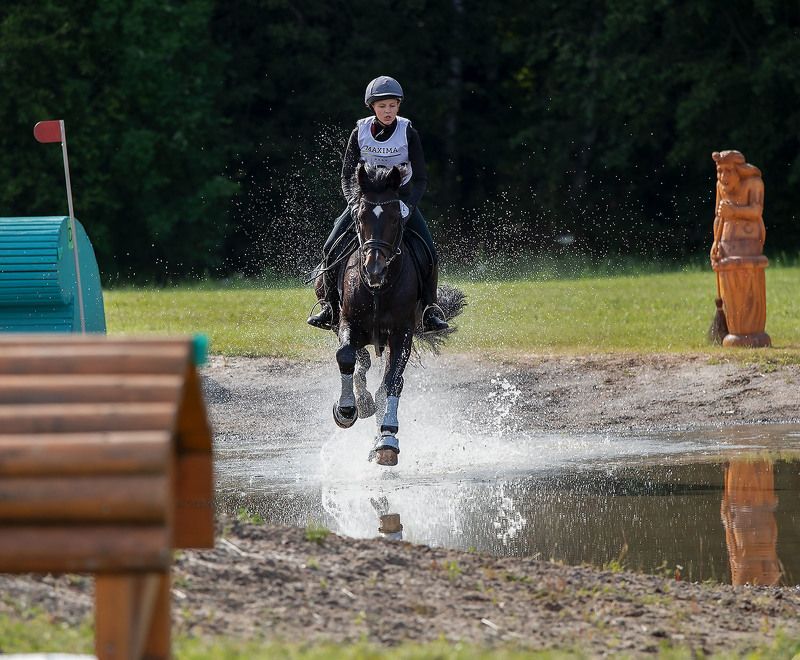 соревнования, троеборье,лошади,спорт, competition, sport, horses ***photo preview