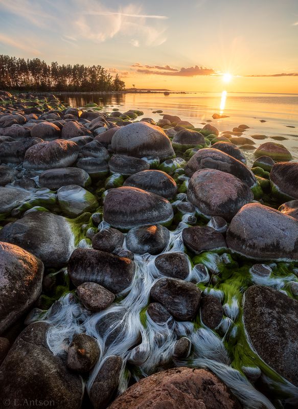 пейзаж, природа, море, эстония На закатеphoto preview