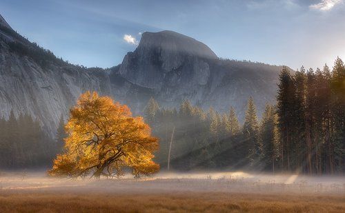 Yosemite Fall...