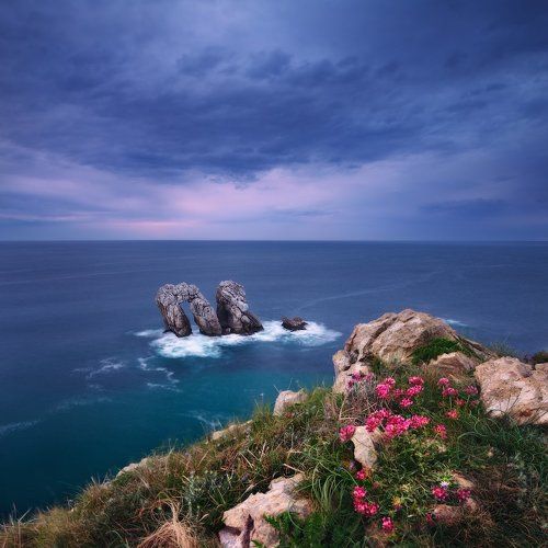 Скала и море – словно две руки / Одной природы, две её стихии