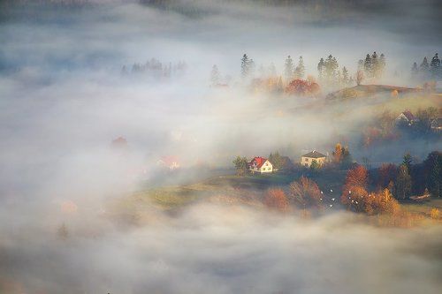In autumn valley