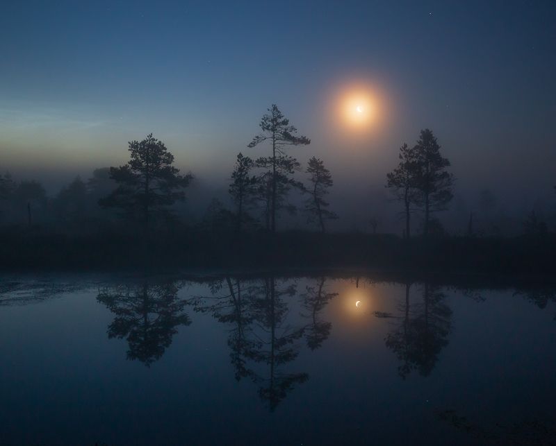 пейзаж, природа, ночь, болото, эстония, туман, луна, elvis antson Ночь на болотеphoto preview