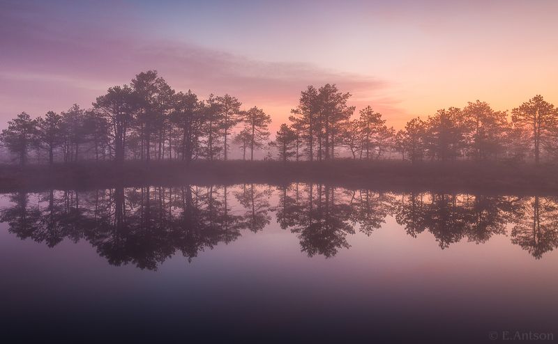 пейзаж, природа, ночь, эстония, болото, туман, отражение, elvis antson Отражение тишиныphoto preview