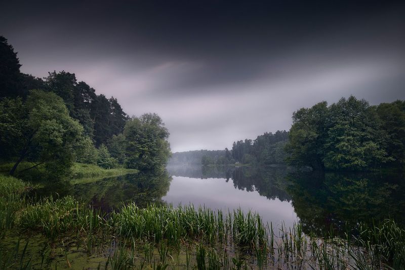 озеро, туман, лес Озеро перед дождемphoto preview