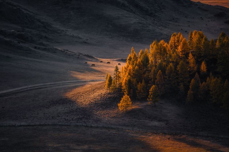 altay, autumn, october, cold, topview, aerial, landscape photo preview