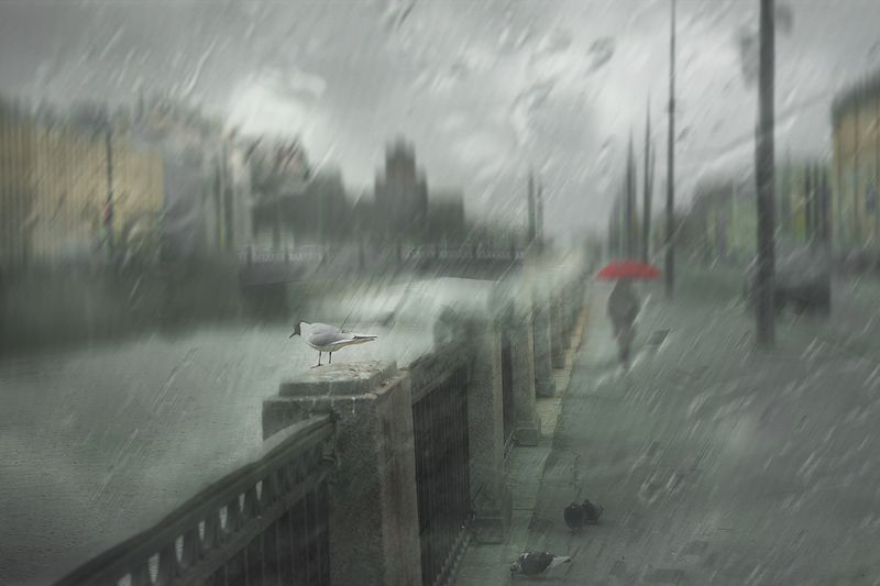 В нашем городе дождь...photo preview