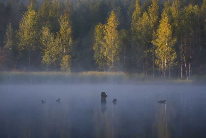 лето, туман, утро, озеро Прохладаphoto preview