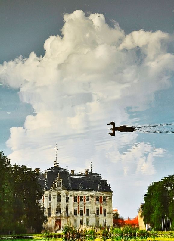 castle, waterscape, poland, pszczyna, water, duck, nature, abstraction, clouds, nikon Swimming in the cloudsphoto preview