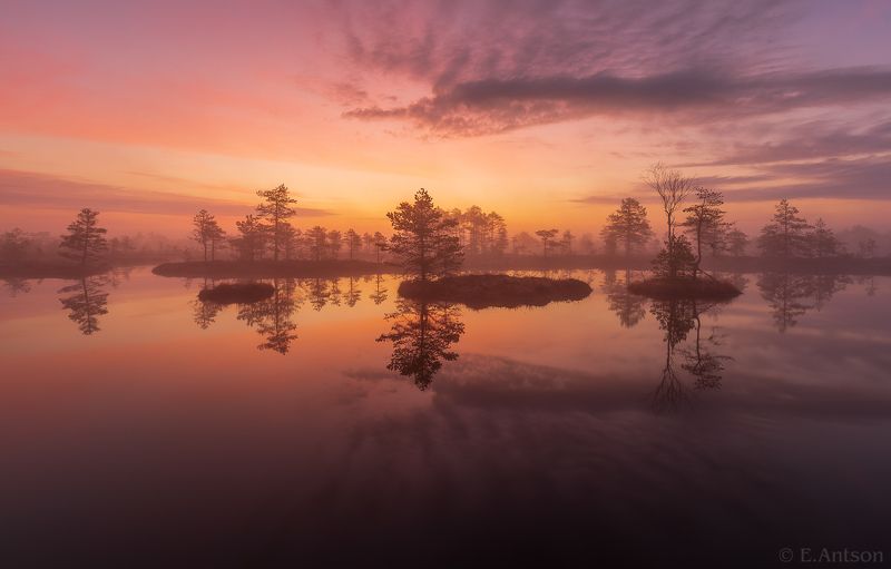 пейзаж, природа, ночь, болото, эстония, рассвет, туман, elvis antson Утренняя атмосфера на болотеphoto preview