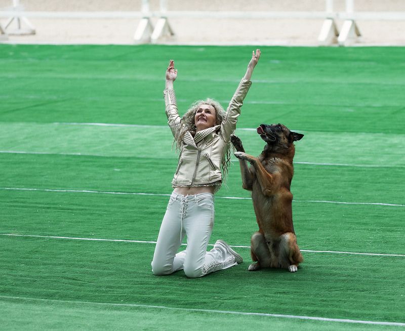 соревнования, танцы, собака,спорт, competition, dance, dog, sport ***photo preview