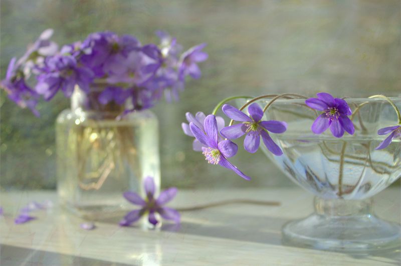 цветы, стекло, натюрморт Нежныеphoto preview
