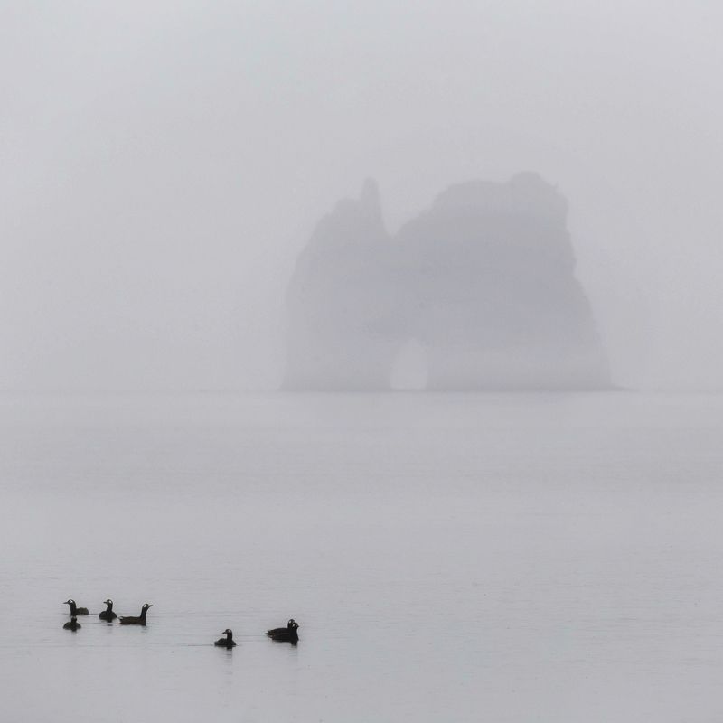 шантары, туман, арка, шантарские острова, природа, минимализм, пейзаж Арочный мыс, Шантарские островаphoto preview