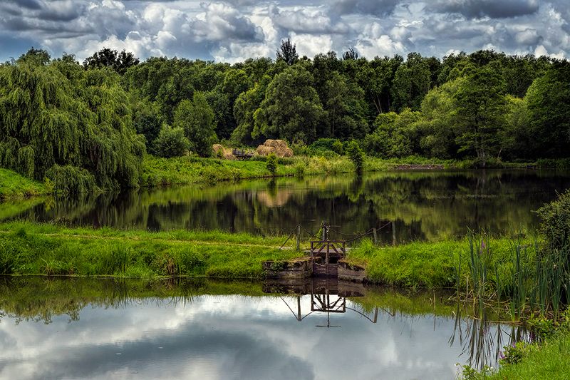 пруд, озеро, лес, пасмурно, облака, тучи Прудphoto preview