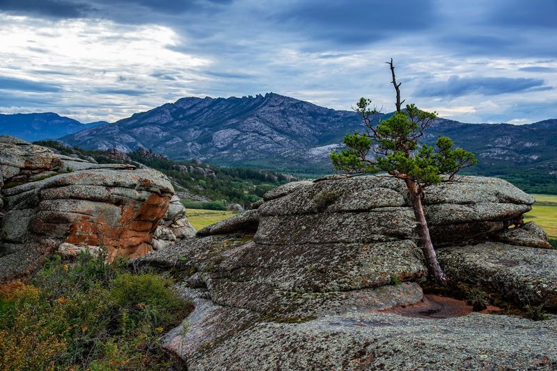 Каркаралинск казахстан фото