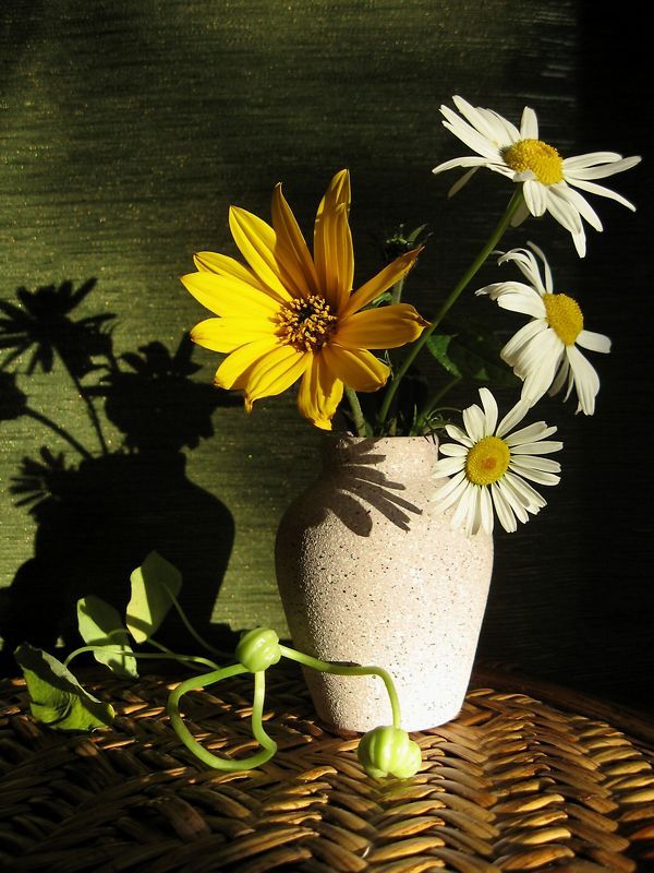 цветы, букет, ромашки, топинамбур, ваза, солнце, тень Зашло проведать...photo preview