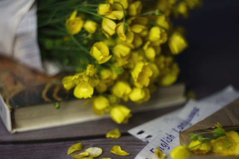Желтые цветы 