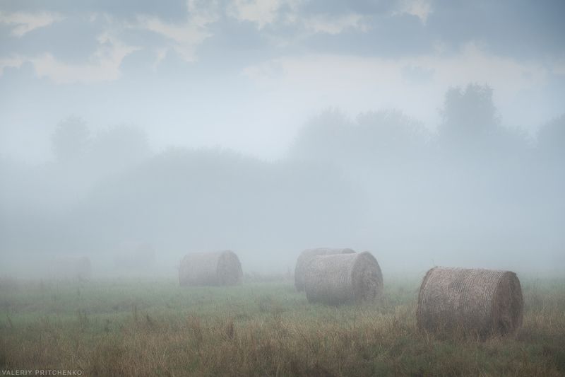 утро, туман, рассвет, пейзаж, поле, лето, landscape, morning photo preview
