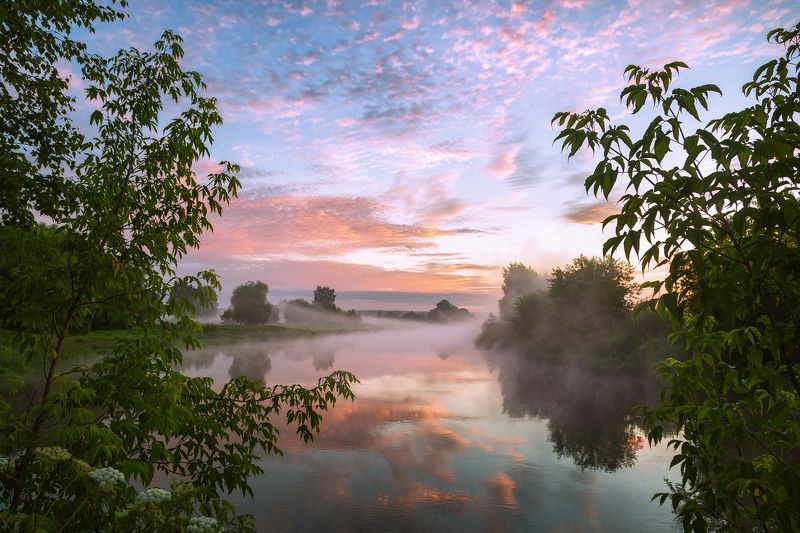 павловский посад, туман, подмосковье, река, лето, клязьма Утро на Клязьмеphoto preview