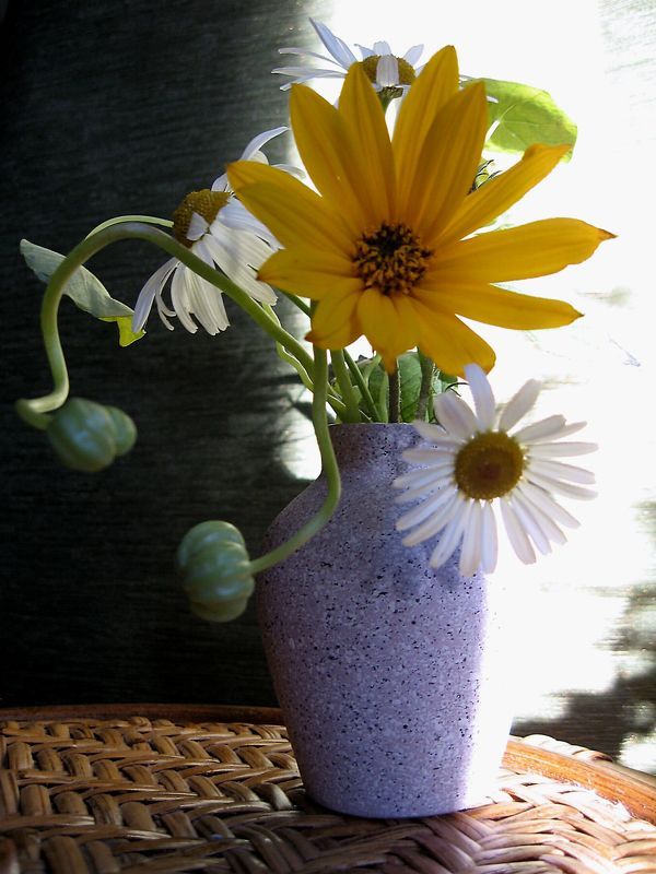 цветы, букет, ромашки, топинамбур, настурция, ваза, светотень Утренний этюдphoto preview