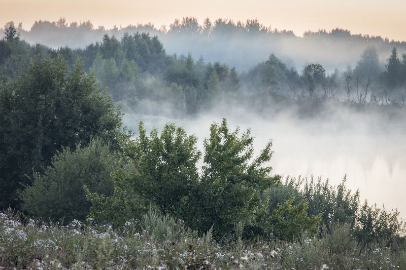 Беларуский пейзаж Полесья утренний туман