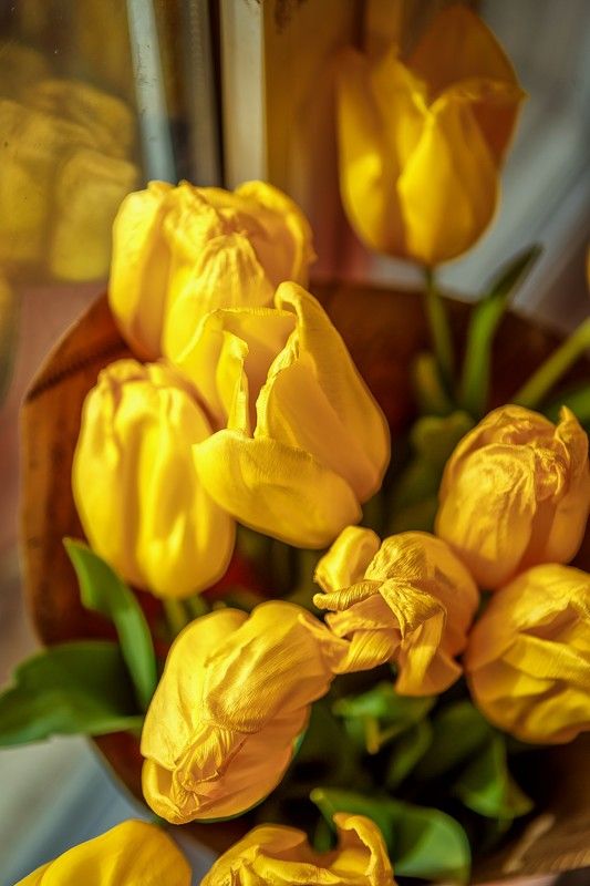 Желтые тюльпаны для Маруси