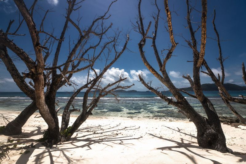 сейшельскиеострова, ладиг, сейшелы, seychelles, ladigue, океан Anse Gaulettesphoto preview