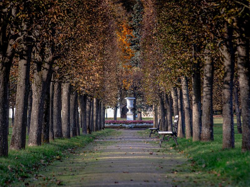 Осень в парке Архангельское