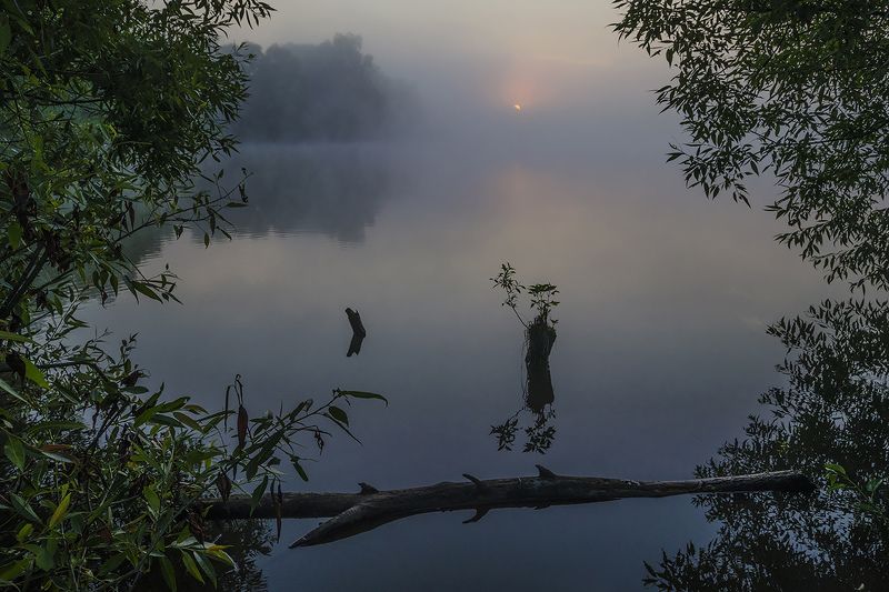 лето, туман, утро, рассвет, большие байдики Погружение в рассветphoto preview