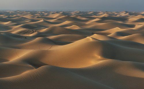 Пустыня Аравийского полуострова.