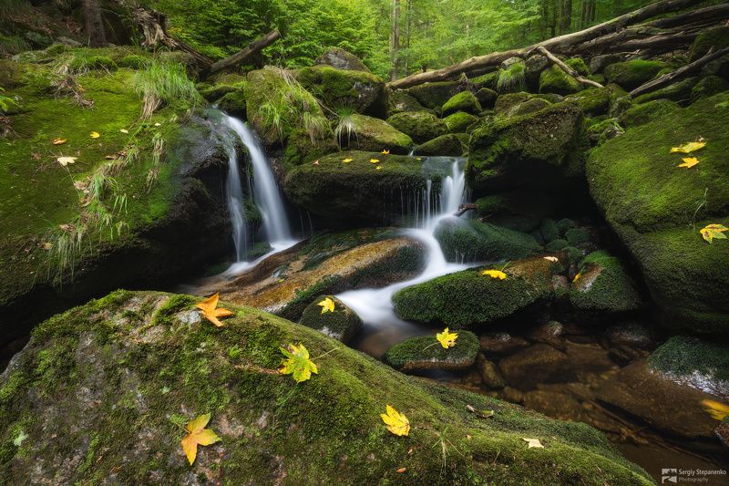 Водопад с кленовыми листьямиphoto preview