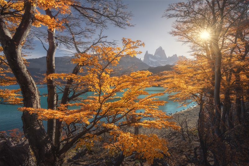 Золотая осень в Патагонииphoto preview
