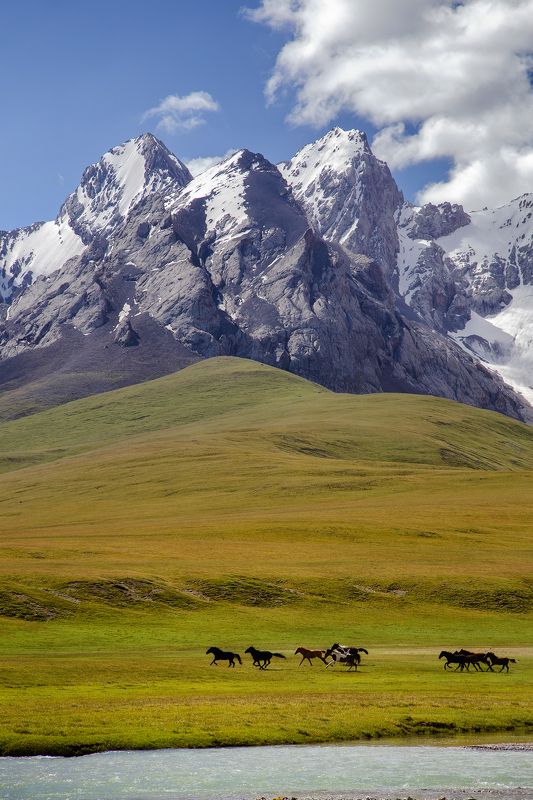 кыргызстан, долина кок-кыя Проскакавшее летоphoto preview