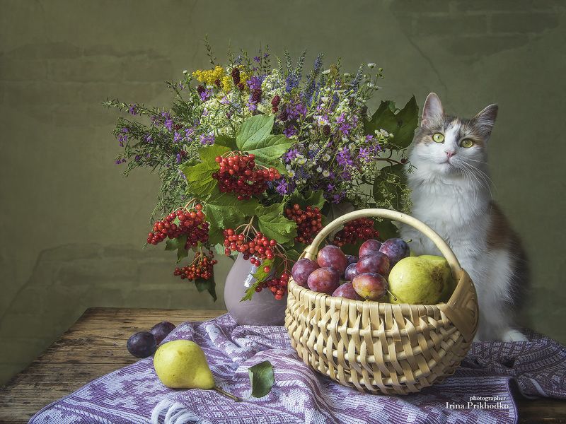 натюрморт, лето, букеты, фрукты, кошка, калина, Калинка-малинкаphoto preview