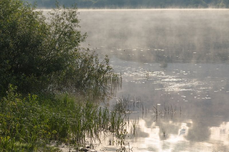 Река, Ока, туман, утро, селение, пейзаж Утро у Окиphoto preview