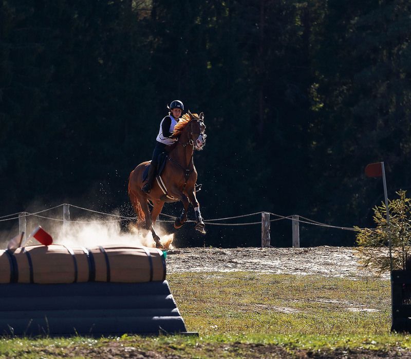 соревнования,спорт, троеборье,лошадь,бег,кросс, competition, sport, horses, race, jump ***photo preview