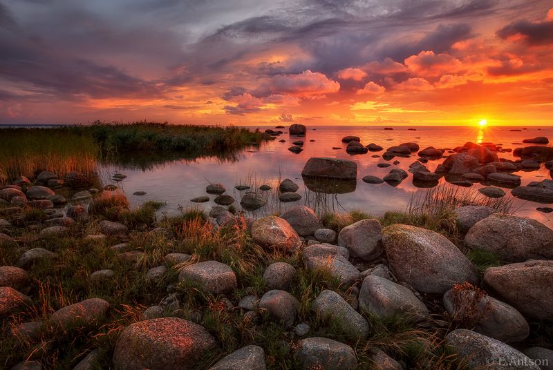 пейзаж, природа, море, эстония, закат, свет, elvis antson, балтийское море, финский залив Вечерний заливphoto preview
