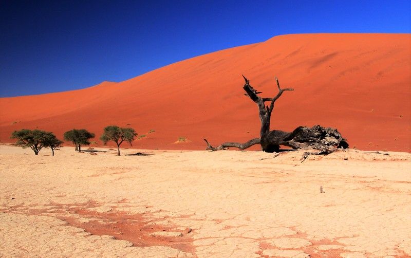 deadvlei, sossusvei, namibia, намибия, пустыня, дэдвлей, соссусфлей, национальный парк, достопримечательность, природа, пейзаж, путешествие, известное, знаменитое Deadvlei, Sossusvei, Namibiaphoto preview