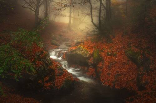 Groovy autumn time / Крутое осеннее время