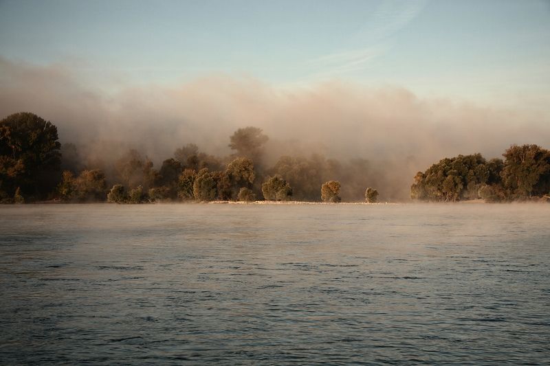 Foggy morning on the Danube