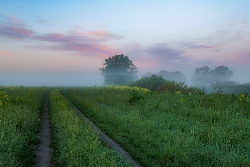 луга, река, туман, утро, восход, пейзаж Однажды летним туманным утромphoto preview