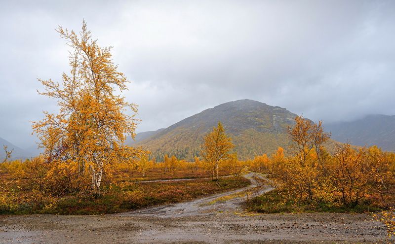 Осень в Хибинах