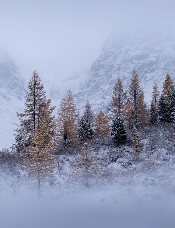 горный алтай, снег, нд, актру, алтай, алтайский край, фототур на алтай Почти зима...photo preview