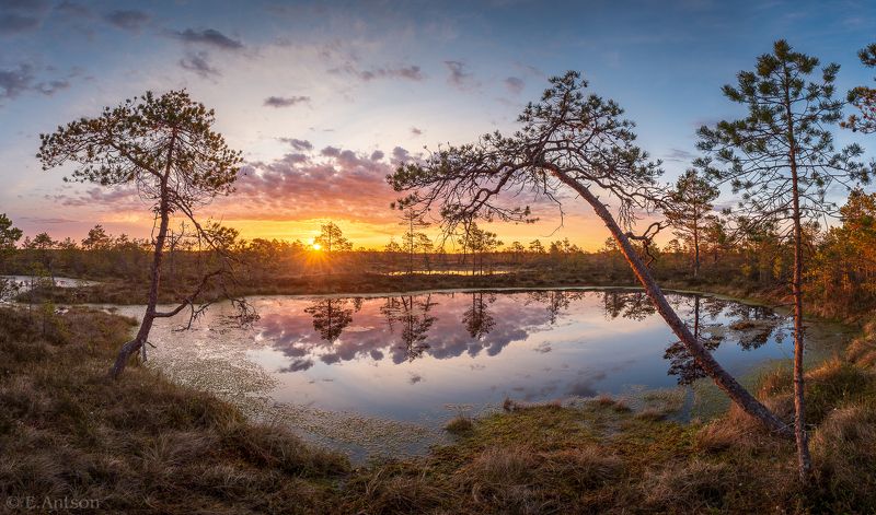 пейзаж, природа, болото, эстония Рассвет на болотеphoto preview