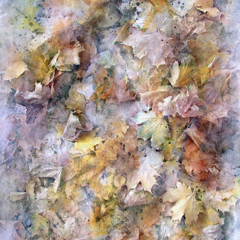 осень, опавшие листья, клён, акварель, абстракция, краски, октябрь Осенняя акварельphoto preview